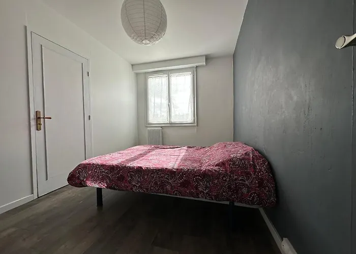 Superbe Appartement Centre-Ville Du Mans
